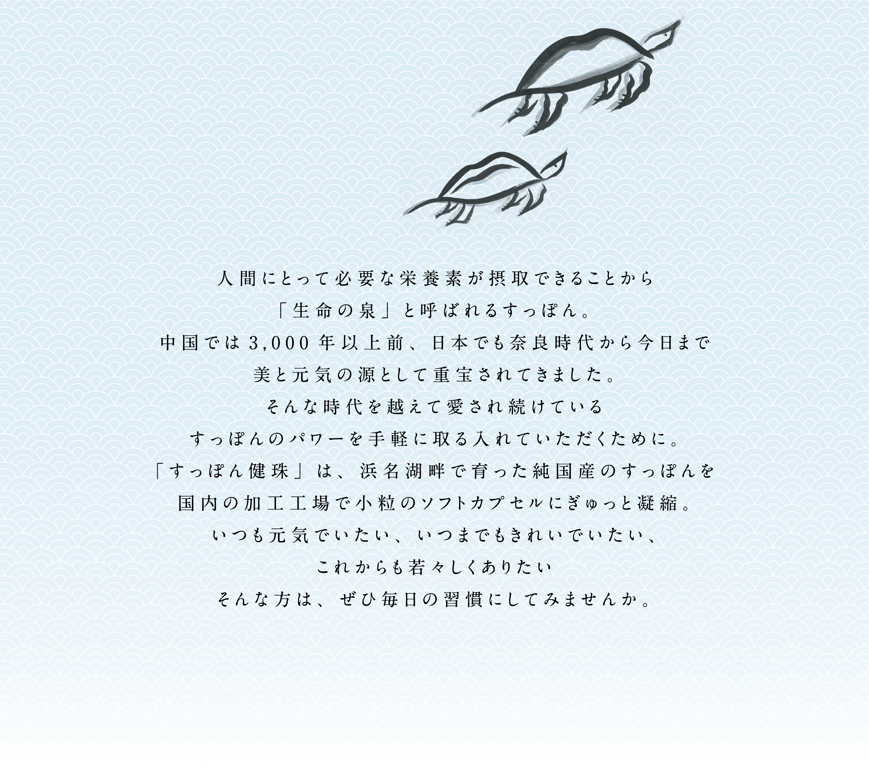 すっぽん健珠について