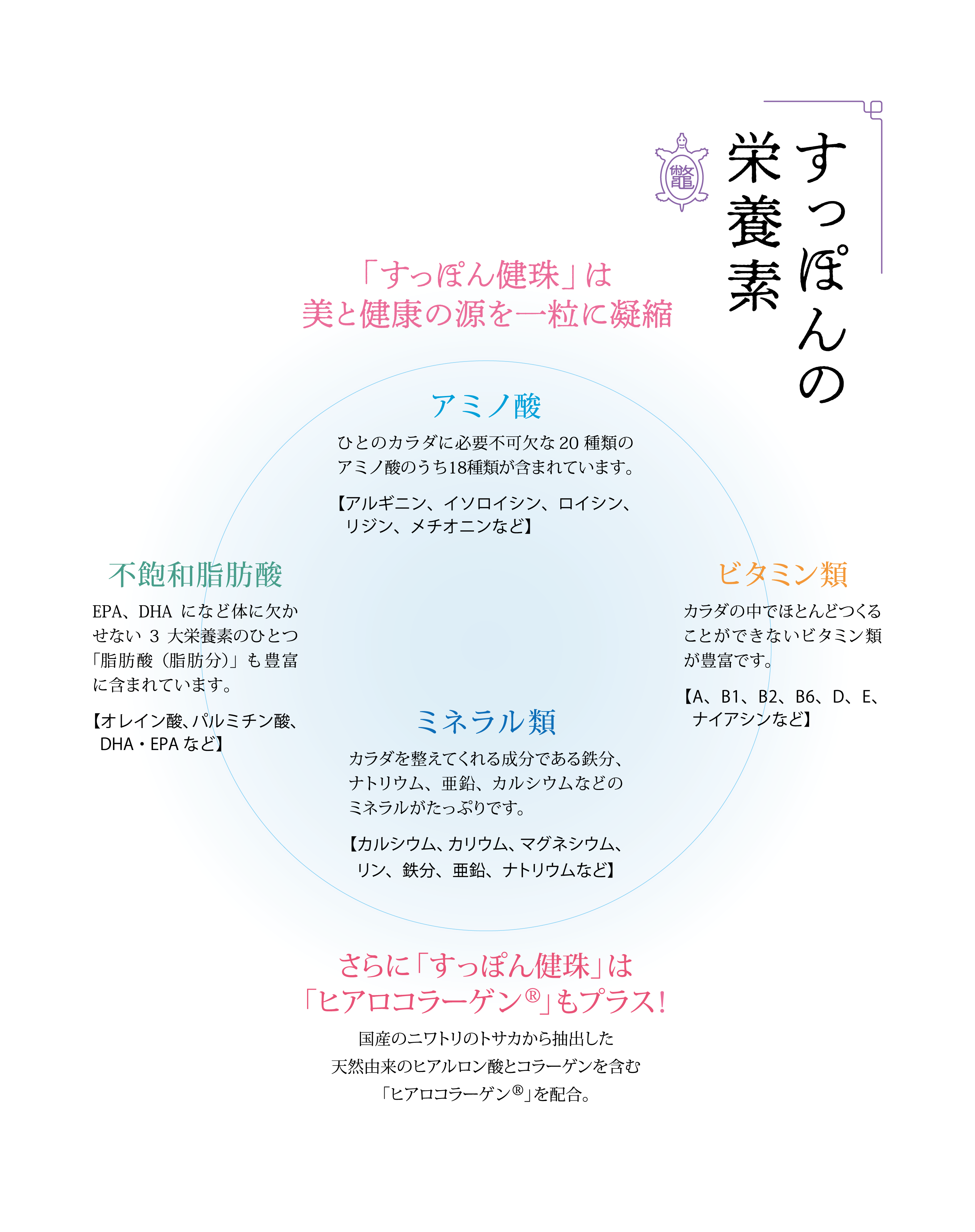 すっぽんの栄養素