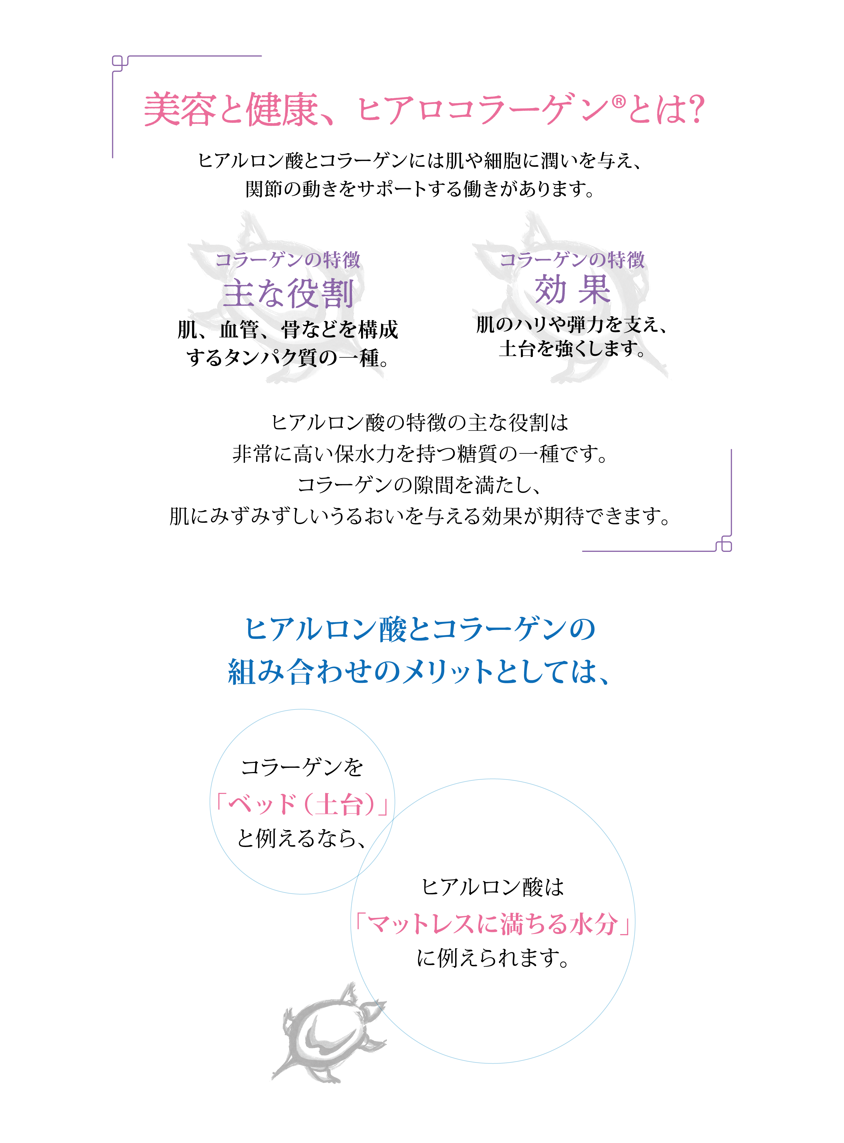 ヒアロコラーゲン配合